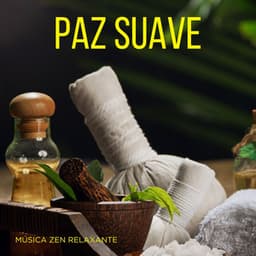 Paz Suave: Massagem Relaxante - Música Zen Relaxante