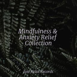 Mindfulness & Anxiety Relief Collection - Powerthoughts Meditation Club