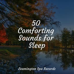 50 Comforting Sounds for Sleep - Sounds of Nature White Noise for Mindfulness Meditation and Relaxation
