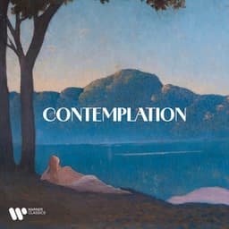 Contemplation - Wolfgang Amadeus Mozart