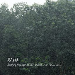 Rain: Soothing Noise for Sleep and Relaxation Vol. 1 - Sleep Lab