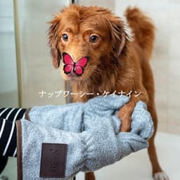 ナップワーシー・ケイナイン - Manhattan Jazz Band