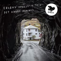 Det Andre Rommet - Erlend Apneseth Trio