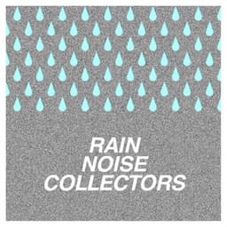 Summer Rain - Rain Noise Collectors