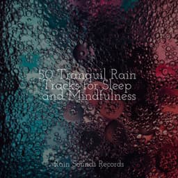50 Tranquil Rain Tracks for Sleep and Mindfulness - Cascada de Lluvia