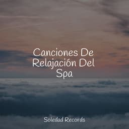Canciones De Relajación Del Spa - Sonido de lluvia