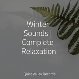 Winter Sounds | Complete Relaxation - Spa & Spa