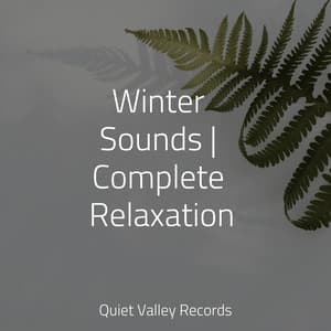 Winter Sounds | Complete Relaxation - Spa & Spa