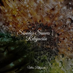 Sonidos Suaves | Relajación - Sonidos De Lluvia y Tormentas