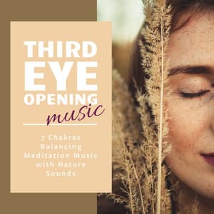 Third Eye Opening Music: 7 Chakras Balancing Meditation Music with Nature Sounds - Reiki Armonía
