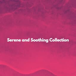 Serene and Soothing Collection - Coffee Shop Music Deluxe