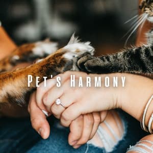 Pet's Harmony: Binaural Oceanic Serenades - Ocean