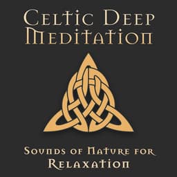 Celtic Deep Meditation - Sounds of Nature for Relaxation & Mind Reset, Best Celtic Collection - Natural New Age Maker!