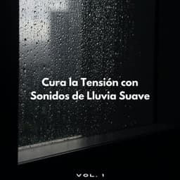 Cura La Tensión Con Sonidos De Lluvia Suave Vol. 1 - Lluvia del Pacifico