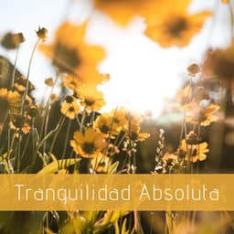 Tranquilidad Absoluta: Música Zen para Dominar la Relajación Profunda - Nuevo Horizonte