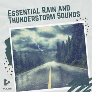 Essential Rain and Thunderstorm Sounds - #Calming