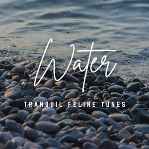 Music for Feline Serenity: Waterside Harmony - Ethereal Moments