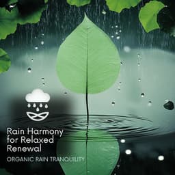 Rain Harmony for Relaxed Renewal - Organic Rain Tranquility