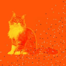 Music - Resting Kittens - For Cats Only