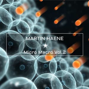 Micro Macro Vol.2 - Martin Haene