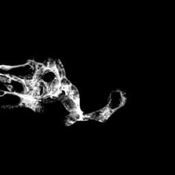 Tourette - SaffronKeira