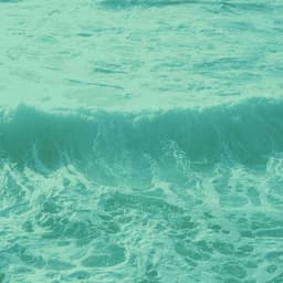 Music for Wellness - Sparkling Bossanova - Dinner Music