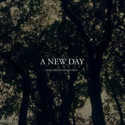 A New Day - Fresh Air and Meditation