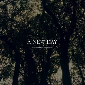 A New Day - Fresh Air and Meditation
