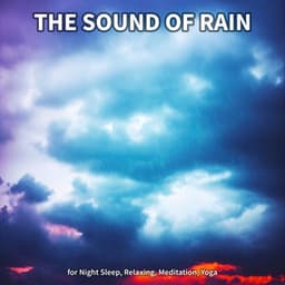 #1 The Sound of Rain for Night Sleep, Relaxing, Meditation, Yoga - Rain Recordings
