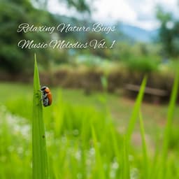 Relaxing Nature Bugs Music Melodies Vol. 1 - Classical Music For Relaxation