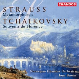 Tchaikovsky: Souvenir de Florence - Strauss: Metamorphosen - Pyotr Ilyich Tchaikovsky
