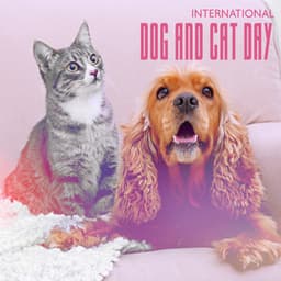 International Dog and Cat Day - Pet Relax Academy