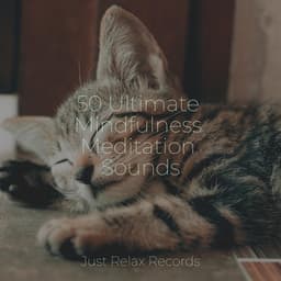 50 Ultimate Mindfulness Meditation Sounds - Meditar Profundamente