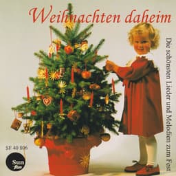 Christmas at Home - Joachim Pliquett