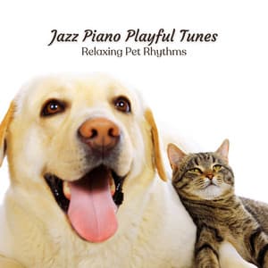 Jazz Piano Playful Tunes: Relaxing Pet Rhythms - French Cafe Jazz Society