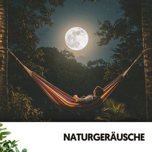 Naturgeräusche: Melodien vom Himmel - Relajacion