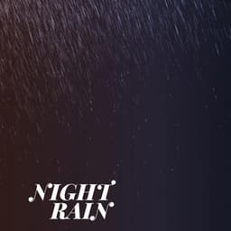 Night Rain - Serene Rose