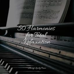 Essential Mindfulness and Serenity Songs - Los Pianos Barrocos