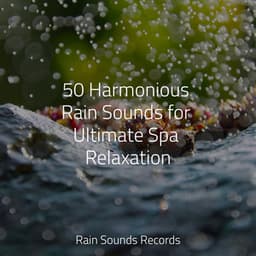 50 Harmonious Rain Sounds for Ultimate Spa Relaxation - Guided Meditation