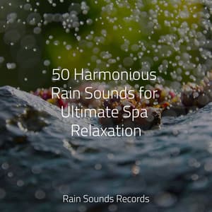 50 Harmonious Rain Sounds for Ultimate Spa Relaxation - Guided Meditation