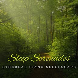 Piano Dreamscapes: Nature's Sleep Serenades - Relaxing Piano Radio