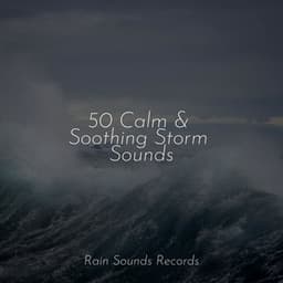 50 Calm & Soothing Storm Sounds - Reiki Music