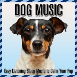 Dog Music: Easy Listening Sleep Music to Calm Your Puppy - Relaxmydog