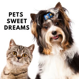 Pets Sweet Dreams: Calming Music for Pets, Relaxing Dog Music, Peaceful Puppies, Sleep Aids, Pet Relaxation, Stress Relief, Lullaby - Sleep & Dream Music Academy