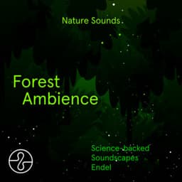 Nature Sounds: Forest Ambience - Endel
