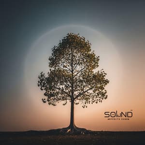 Beneath the Bodhi Tree - Sound Effects Zone