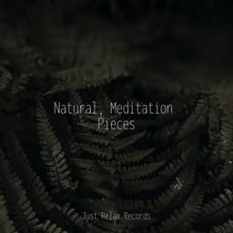 Natural, Meditation Pieces - Meditación