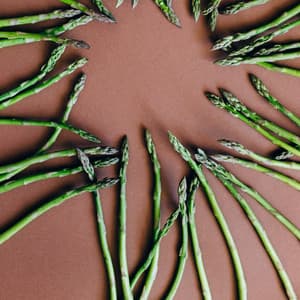 Placid White Noise - Baby Sleep Zone