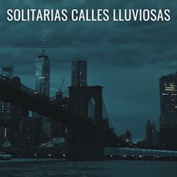 Solitarias Calles Lluviosas - Grabación de lluvia