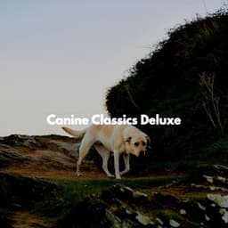 Canine Classics Deluxe - Coffee Shop Jazz